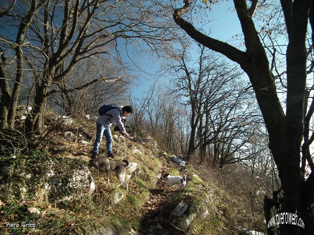 37 Sentiero nel bosco....JPG